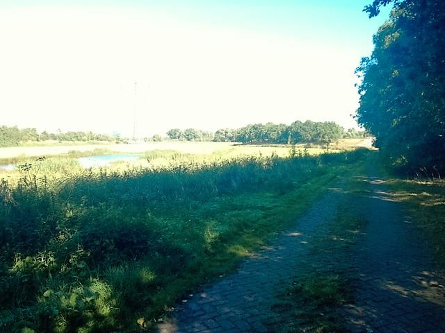 Langs de spoordijk is het vrij rustig, gevarieerde begroeiing, belangrijk deel van de dag bij warm weer schaduwrijk. Op dit stuk kunnen nog bomen geplant worden.