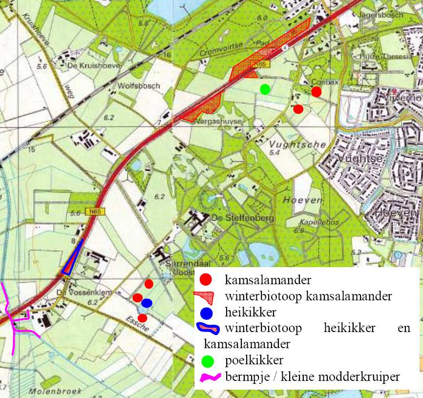 verwachten strenger beschermde soorten ondervinden geen significant negatieve effecten van de maatregelen. Ook voor deze soorten hoeft dus geen ontheffing te worden aangevraagd.