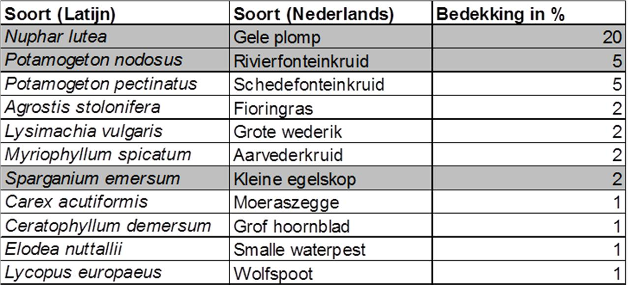 Tabel 3.9 Overzicht van de planten en mossen op de locatie Lus van Linne.