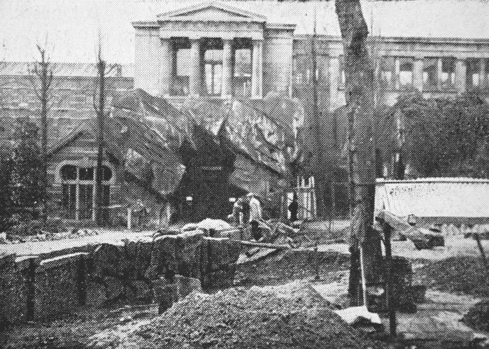 In het kader van de inzichten van Carl Hagenbeck en de modernisering van de dierentuin werd het traliewerk waar het mogelijk was systematisch afgebroken.