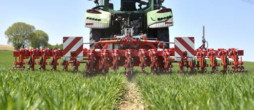 Zij kunnen bij grotere planten eenvoudig omhoog gehangen of verwijderd worden om aanaarden mogelijk te maken. Waarom schoffelen en niet spuiten?