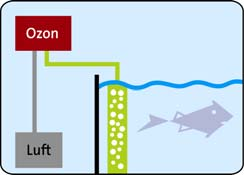 Voorstel B Plaatsen in de kast De ozonisator kan ook zonder problemen in de kast onder het aquarium worden geplaatst (zorg voor ventilatie).