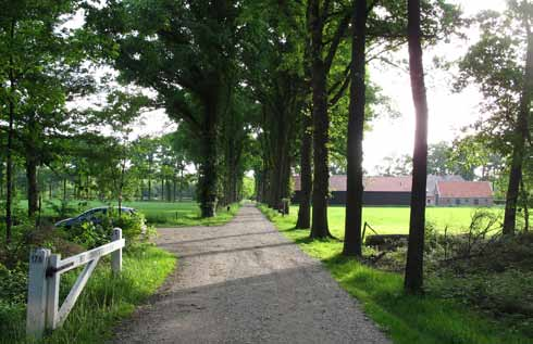 Het is de wens van de familie Bolscher om een natuurlijk en niet te statig landgoed te creëren. De tuin moet onderdeel zijn van het landschap en hier tussen moet niet een te strakke grens zitten.