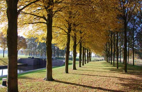 het hoofdgebouw genoeg ruimte is om zicht vanuit het landhuis op de omgeving te houden en vice versa.