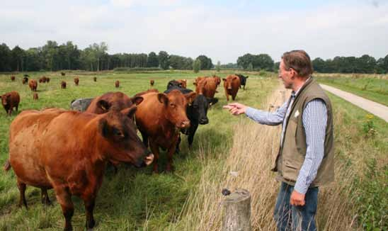 Groene landschapselementen 1 Landschap doeltype: Koeienwei Extensief begraasd grasland met koeien en natuurlijke randen.