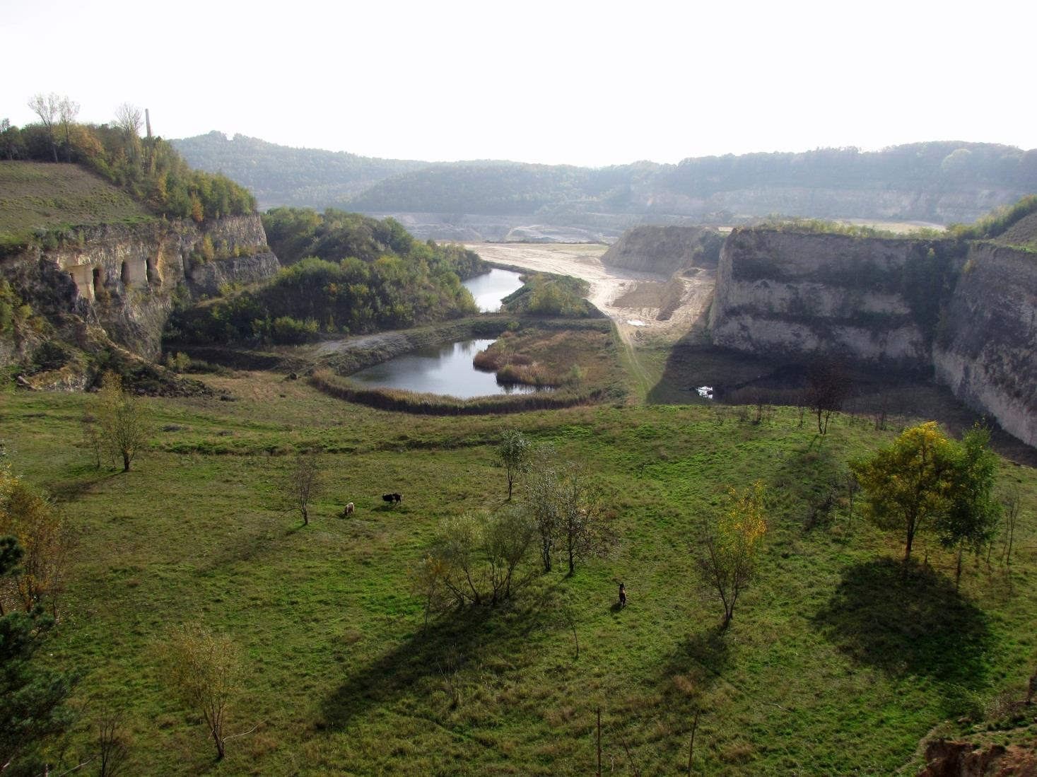 Natura 2000 Gebiedsanalyse voor de Programmatische Aanpak Stikstof (PAS) Sint Pietersberg & Jekerdal