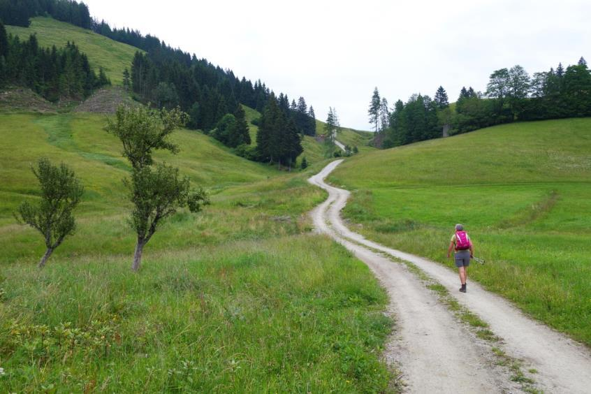 Zaterdag 27 juni Hinterberg - Teufelsgasse - Hinterberg 6 km Laagste punt: 984 m Hoogste punt: 1256 m Totale stijging/daling: 360 m