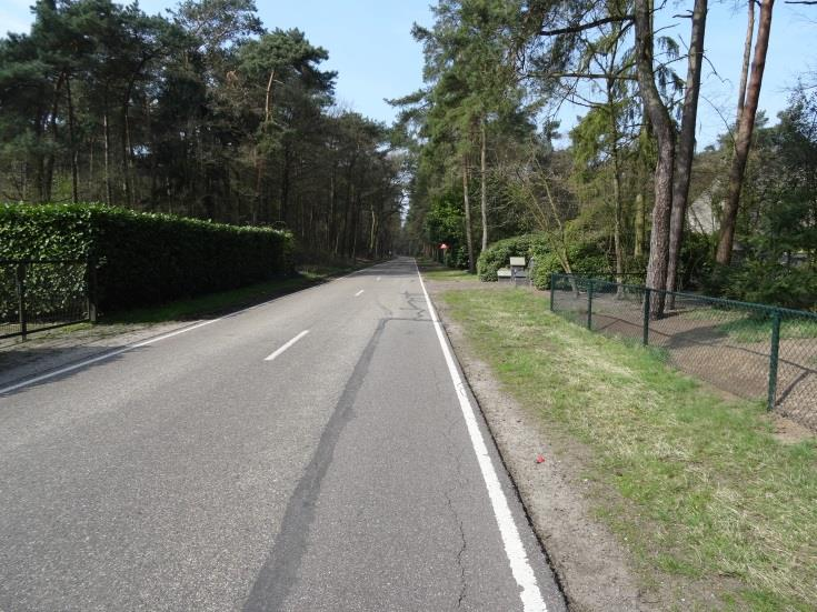 We zien geen aanwijzingen meer. De route gaan zoeken in het bos heeft geen zin. Als we door lopen, zien we in de verte een weg, waar auto s rijden. Daar lopen we heen.