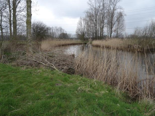 15 uur zijn we bij het station Beukenlaan. Nog steeds geen aanwijzingen en de beschrijving is ook nog rommelig. We vragen een paar maal naar de route. We worden van het kastje naar de muur gestuurd.