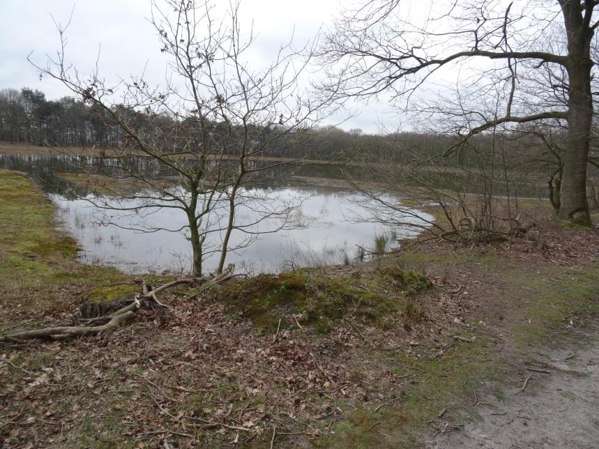 We hebben nu pas 9 kilometer afgelegd. Er staat een bank. We eten hier een broodje. Na 100 meter moeten we weer door modder en water. Het pad heet niet voor niets het Brabants Vennenpad.