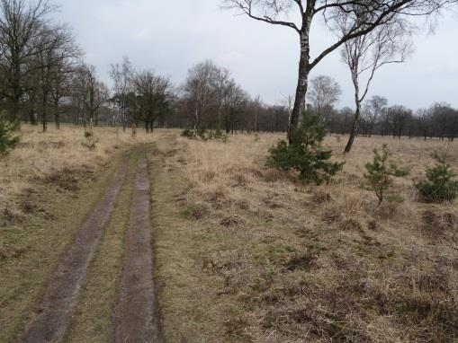 We komen bij het plaatsje Roond. Dit is een gehucht op oude akkergronden, dat bestaat uit enkele 19e eeuwse langgevelboerderijen langs een slingerende weg.