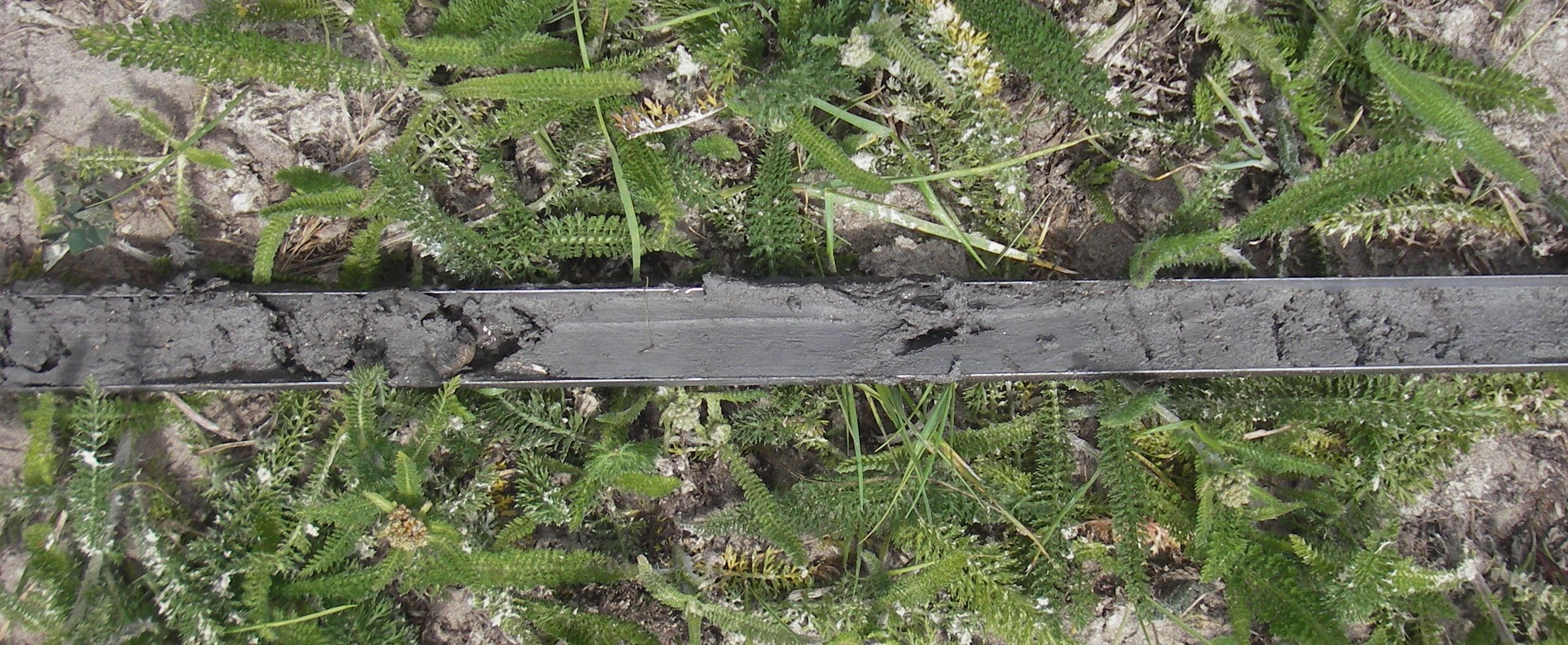 3.2 Bodem, reliëf en archeologie Op 3 juni 2011 zijn door De Steekproef twaalf boringen gezet in het plangebied. Alle boringen zijn doorgezet tot een diepte van drie meter beneden het maaiveld.