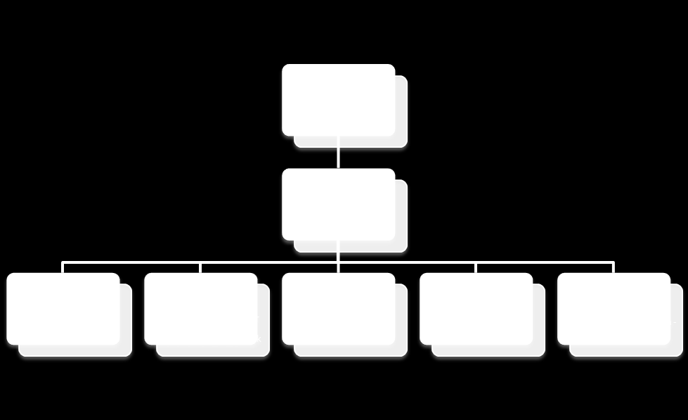 Bijlage 2 Organogram