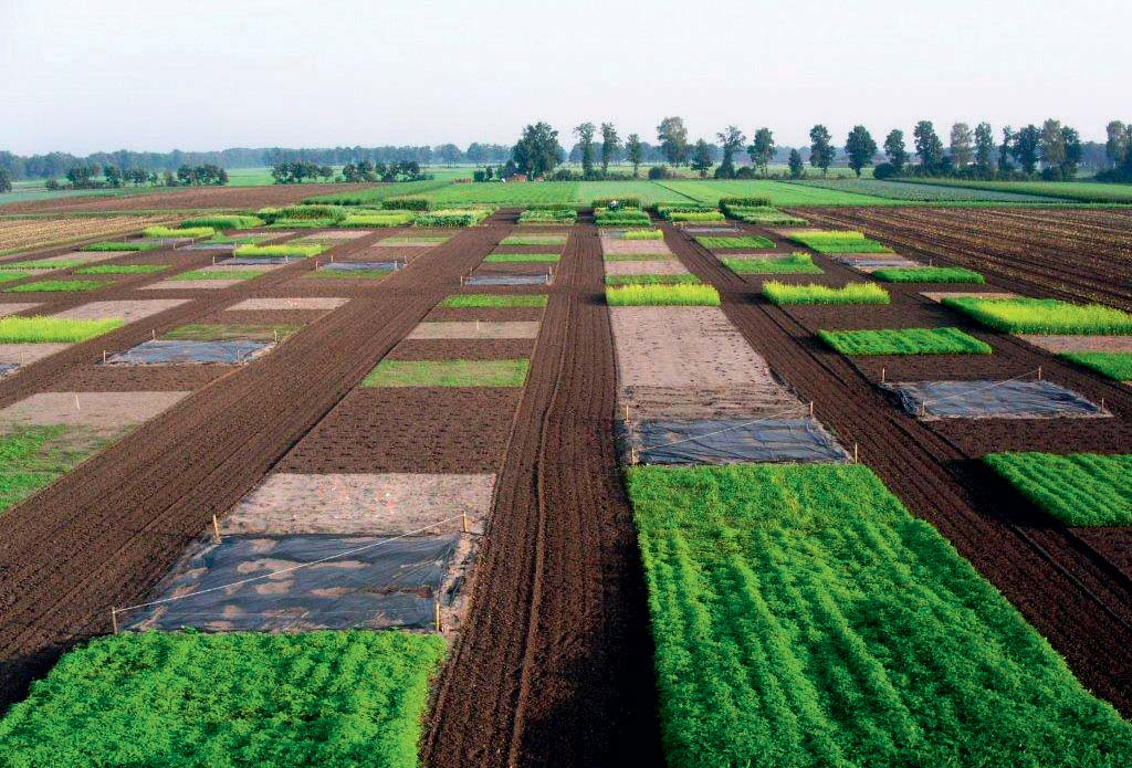 Foto s: René Faas De groeiende belangstelling in de landen tuinbouw voor een beter bodembeheer, bodemleven en bodemvruchtbaarheid vindt onderzoeker Gerard Korthals positief.