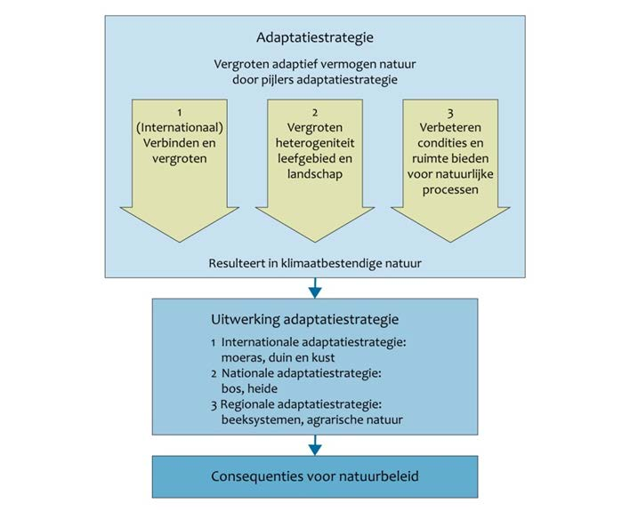 De adaptatiestrategie om het adaptief vermogen te versterken bestaat uit 3 pijlers met maatregelen die in combinatie kunnen worden uitgevoerd: 1. Ruimtelijke samenhang vergroten; 2.