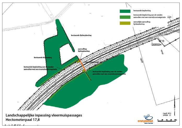 Samen met een aanvullende lijnbeplanting vormen zij de geleiding naar het