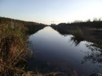 Deze aanpak draagt bij aan de noodzakelijke veerkracht van het watersysteem. Zo blijft ook waterberging mogelijk in de haarvaten van ons watersysteem. WWN wil de behoefte aan zoetwater verminderen.