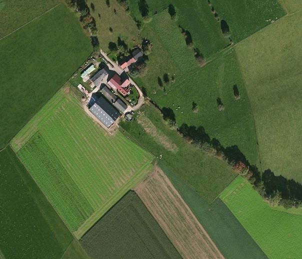 Op grond hiervan wordt voorgesteld een boomgaard (hoogstamfruit) te realiseren ten zuidoosten van het tegenover het plangebied gelegen buurerf.