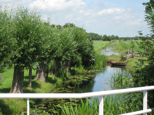 Het landschap van dit langgerekte gebied is gevormd door grootschalige commerciële