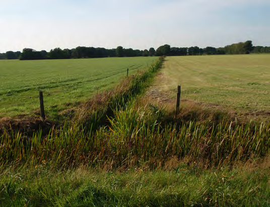 kavelgrens). Boerderij aan de ruilverkavelingsweg Tjongervallei.