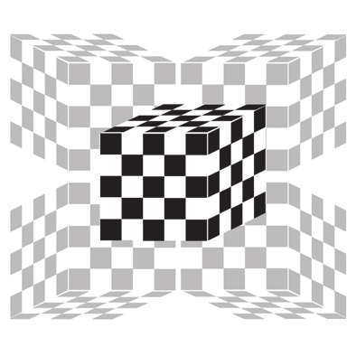 * dinsdag 22 januari kubus Een kubus bestaat uit 125 blokjes. De blokjes zijn om en om zwart en wit.