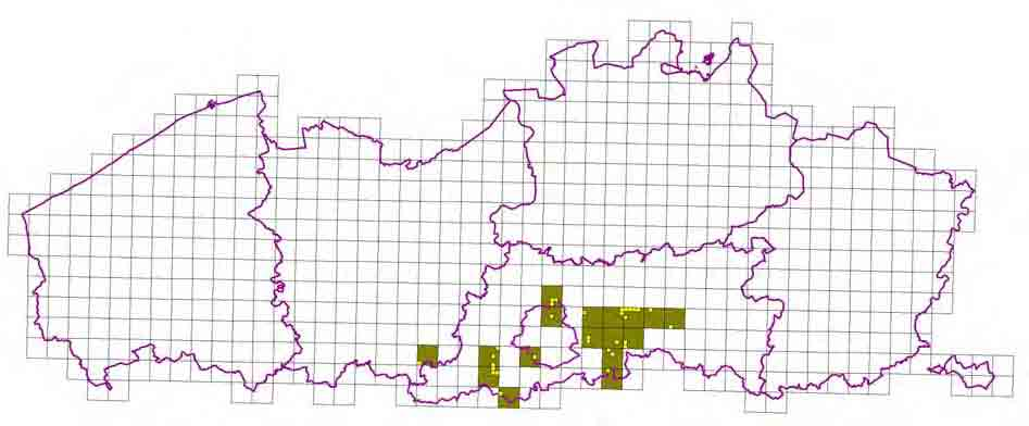 e.m. maart 2010 (Bron: projectgegevens van www.waarnemingen.be, Jacobs 2010) Iepenpage Vlaams-Brabant 7