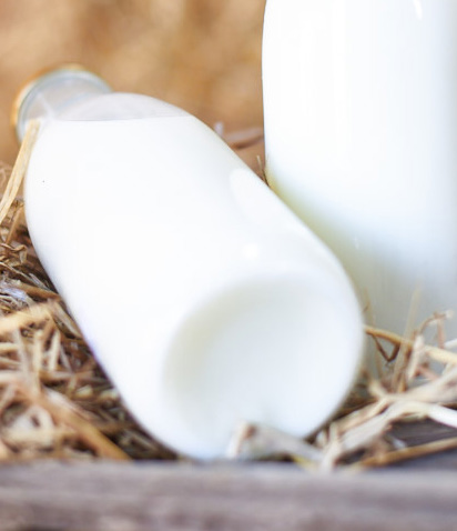 Wij gaan voor 100% huisgemaakte producten met verse en natuurlijke grondstoffen. De lekkerste melk krijg je natuurlijk van de gelukkigste koeien.