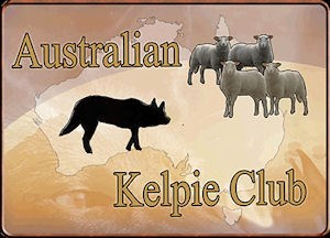 AKSE 2013 is mogelijk gemaakt door de 2 officiële Australian Kelpie rasverenigingen in Nederland, te weten de Australian Cattle Dog Kelpie Vereniging en de Australian Kelpie Club en georganiseerd