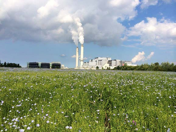 Vezels voor biocomposiet Waternet is kosten kwijt van beheer Rigo hoeft geen lijnolie meer te