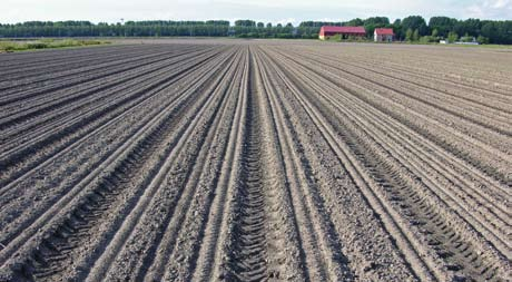 Hoofdstuk 1 Bodems en hun eigenschappen De Nederlandse landbouw is divers. Akkerbouw, groenteteelt, gras, maïs, fruit en bollen wisselen elkaar af in landschappen met een uiteenlopend karakter.