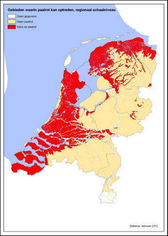 In de lagere delen van Nederland is verzilting een extra bedreiging voor de waterkwaliteit in de stad en dus ook voor flora en fauna.