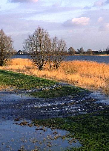 Nederland leeft met Water Nederland is synoniem met water. Eeuwenlang hielden we de zee en de rivieren met dijken en gemalen in toom.