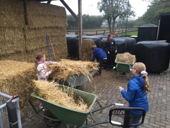 interviewen, vragen maken voor de bedrijven en na ons bezoek moeten we ook nog een verslag maken.