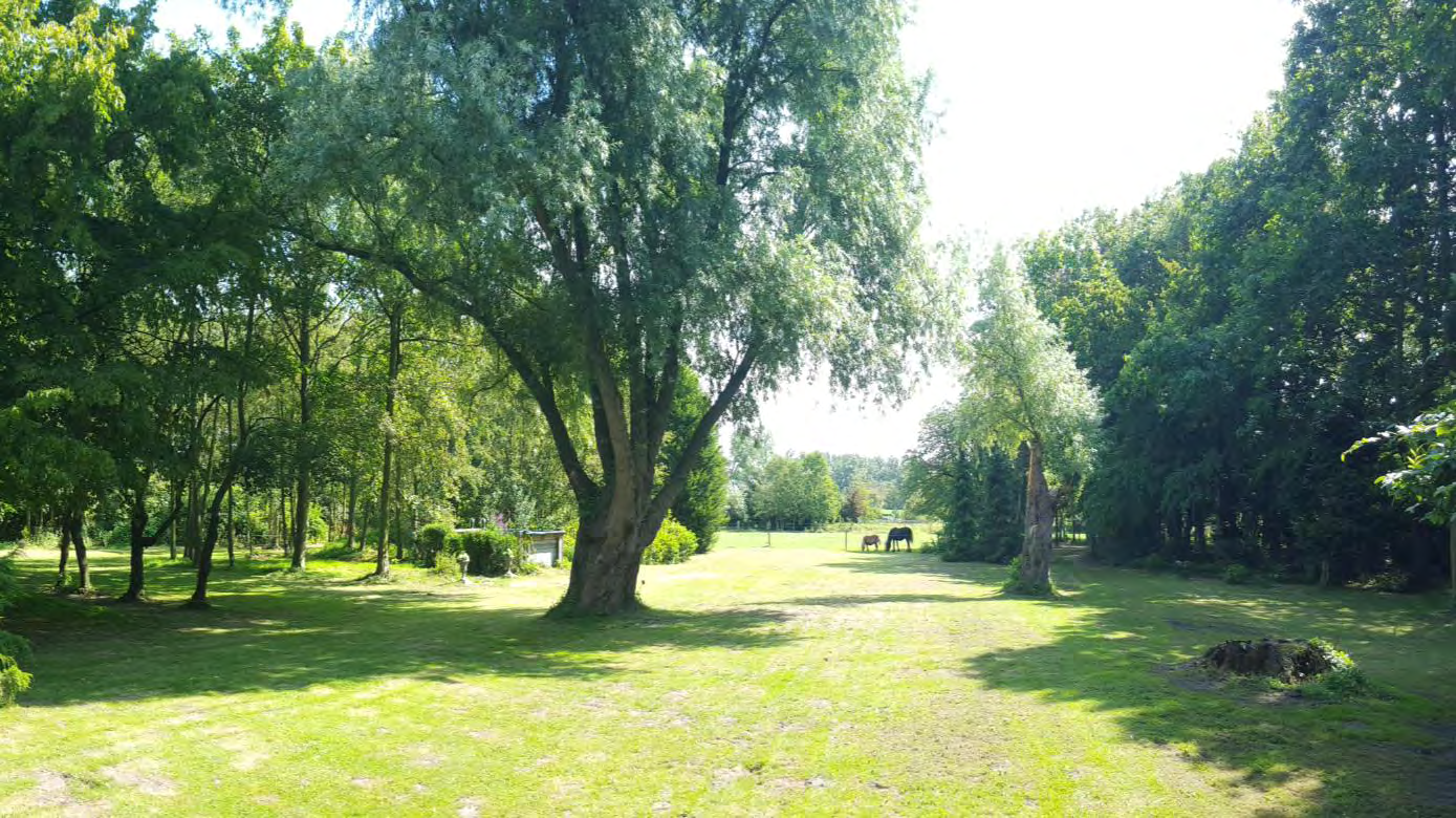 Meer dan unieke locatie voor het realiseren van uw eigen droom!! Een bijzonder erf, gelegen op zeer korte afstand van duinen, strand en bossen, grotendeels omgeven door een schitterende Houtwal!