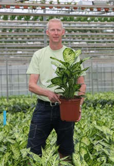 Bedrijfsleider Rob Wubben, Elstgeest Potplanten: Azatin is een mooie aanwinst tegen echinotrips het blad, waardoor het voor trips steeds minder aantrekkelijk wordt. Dat is het stapeleffect.