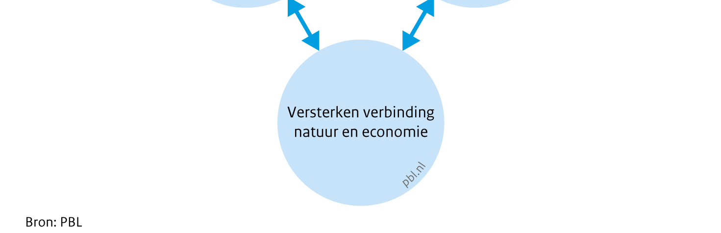 Bovendien is de beleidstheorie over deze vernieuwingen nog niet uitgekristalliseerd. Voor een definitieve evaluatie van de effecten van deze vernieuwingen is het dan ook nog te vroeg.