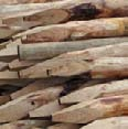 Hekwerk weide Type: Kastanjehouten palen met prikdraad Afwerking: rond, geschild en gepunt Afmeting: 160 lengte (1m