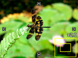 Inzoomen op een beeld op het scherm 1. Blader tijdens de WEERGAVE modus d.m.v. [4] en [6] door de beelden totdat het gewenste wordt getoond. 2.
