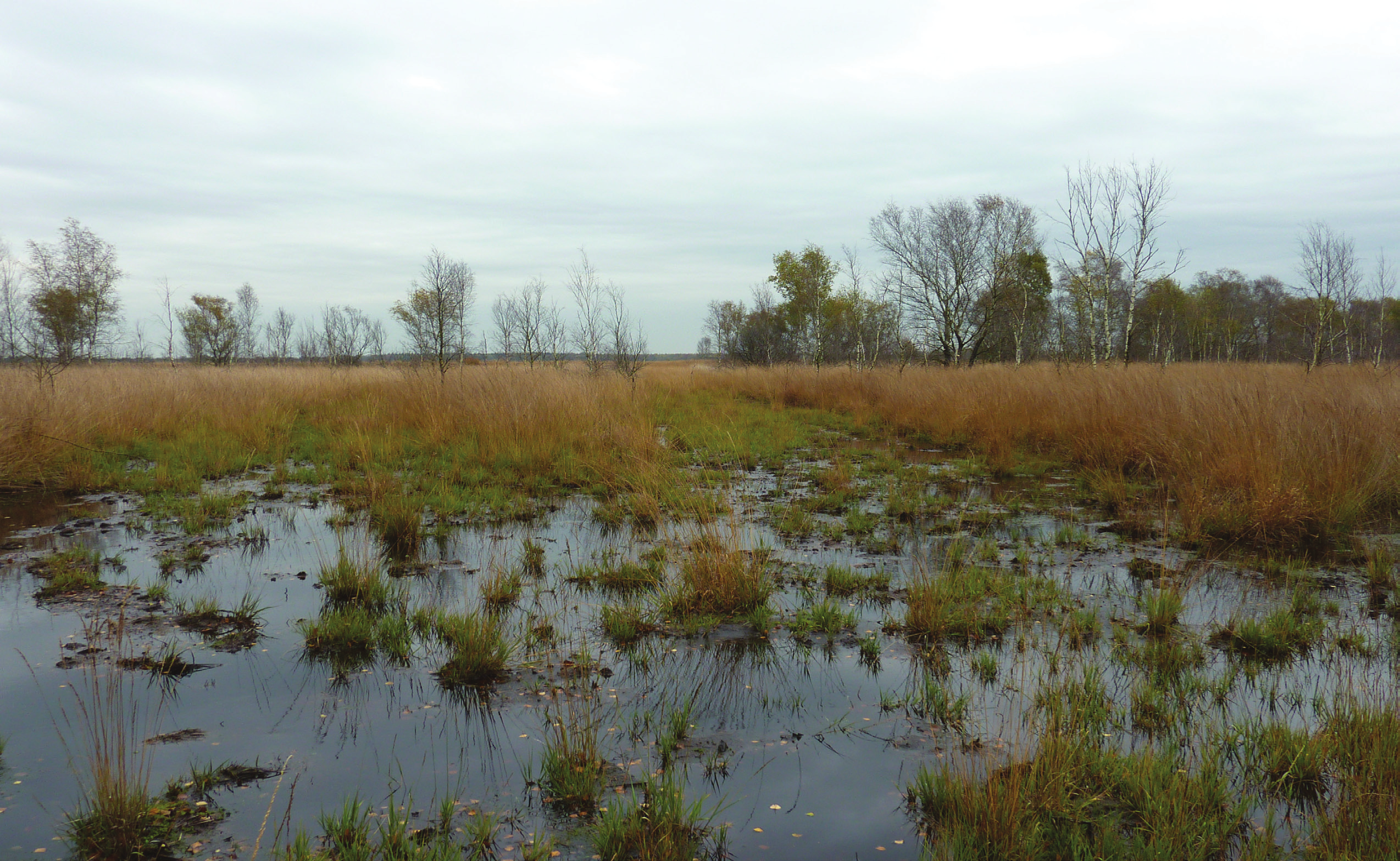 Alterra is onderdeel van de internationale kennisorganisatie Wageningen UR (University & Research centre). De missie is To explore the potential of nature to improve the quality of life.