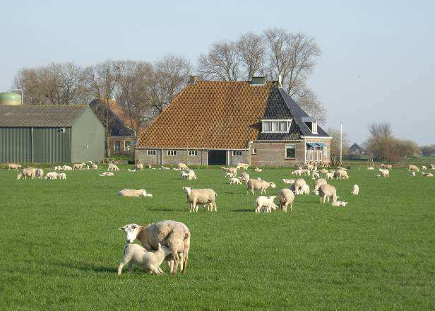 Toch zijn wij al volop bezig met het voorjaar. Vooral de kunstmest heeft nu onze aandacht.