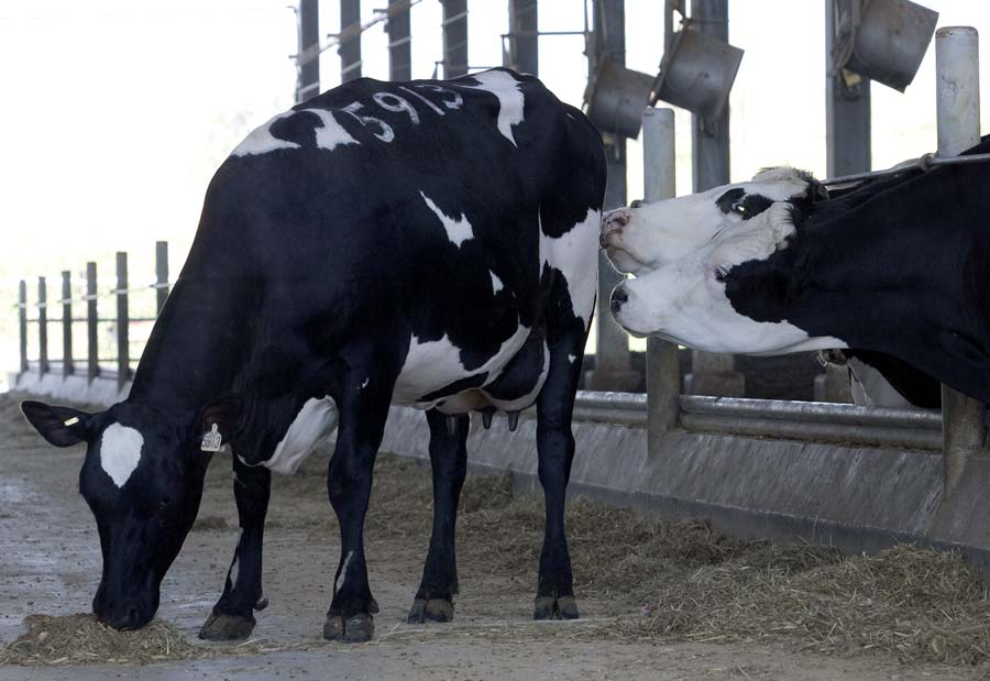 .. met Xsires, de enige èchte specialist in inkruisen Het Xsires team staat voor u klaar Van links naar rechts: Johan van der Ven 0416-690448 of 06-51138432 Alfred Hulst