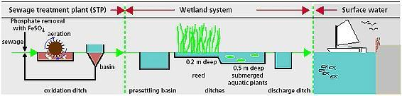 twee meter boven het polderpeil, een eigen watersysteem en zijn voornamelijk afhankelijk van regenwater.