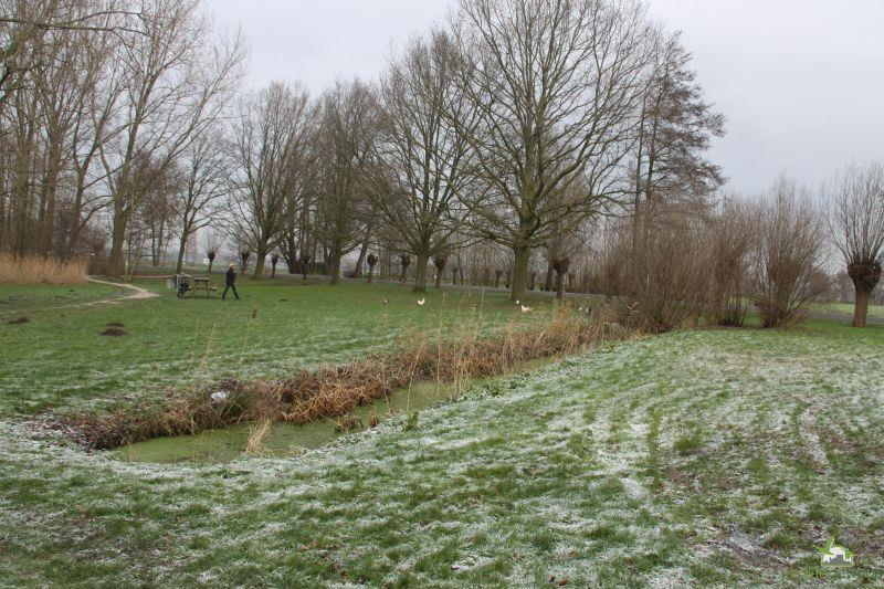 1] Klein landschappelijk element met een recreatieve functie.