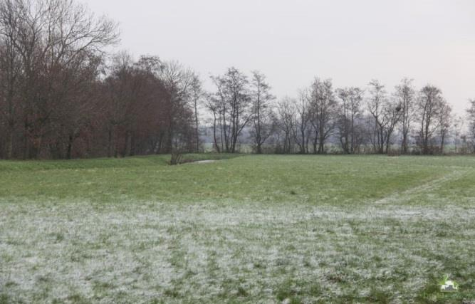 30 meter over een ruime breedte en vervolgens in een 1: 10 talud oplopend naar maaiveld met een moerasoever kan een gunstige habitat voor een groot deel van de doelfauna vormen Op deze wijze kan