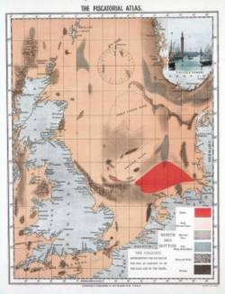 De bodem van de Noordzee in 1883, met veenafzettingen langs de Hollandse kust, stenenrijke bodem nabij Borkum en oesterbanken (rood).