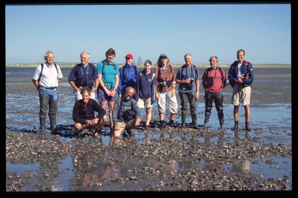 Met collega s op het wad onder 