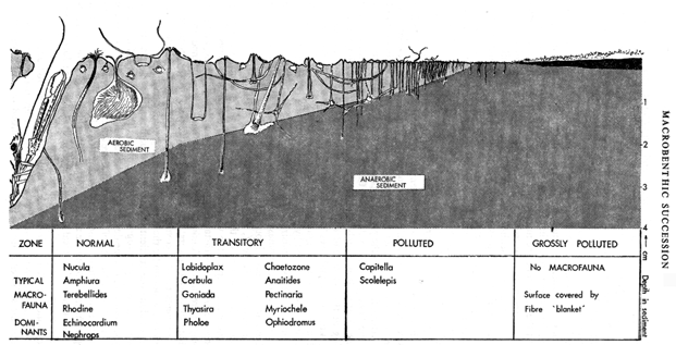 Voor gevoelige benthos soorten is nog geen EcoQO overeengekomen (OSPAR, 2005). Gevoelige soorten zoal