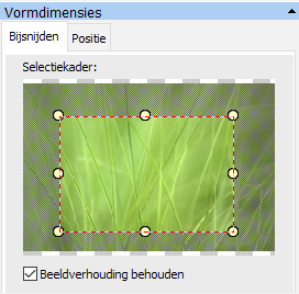 DE SOFTWARE GEBRUIKEN: FOTO BIJSNIJDEN Een afbeelding bijsnijden doe je door rechts onderin, bij Vormdimensies, te kiezen voor het tabblad Bijsnijden.