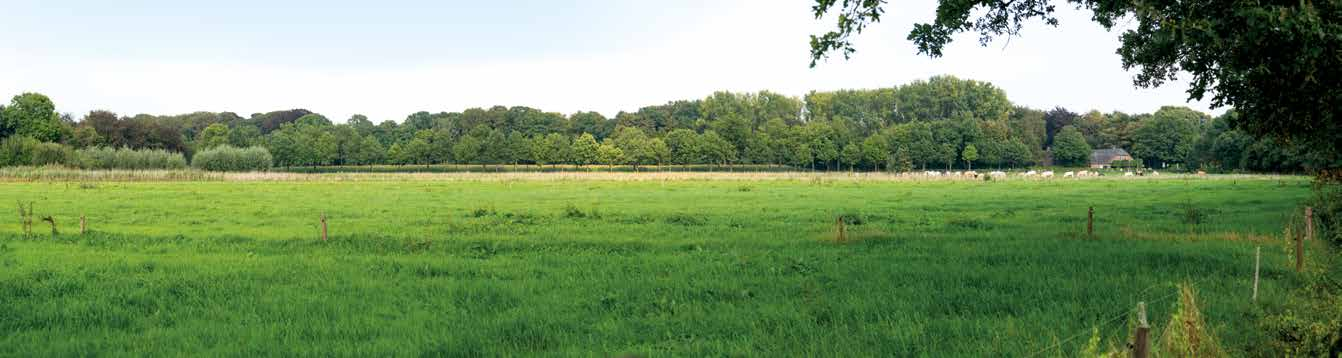 Vught Zuid in Vught landelijk