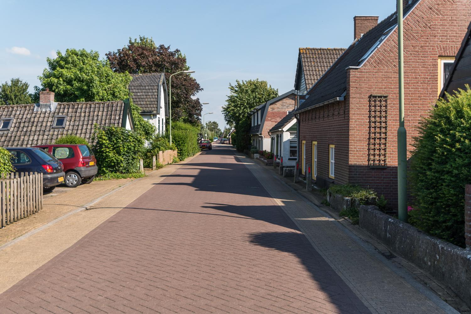 Het Nationaal Natuurpark "De Biesbosch"